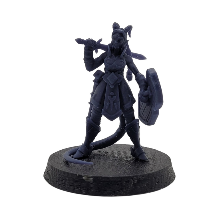 Ariza The Paladin - Miniature Figurine