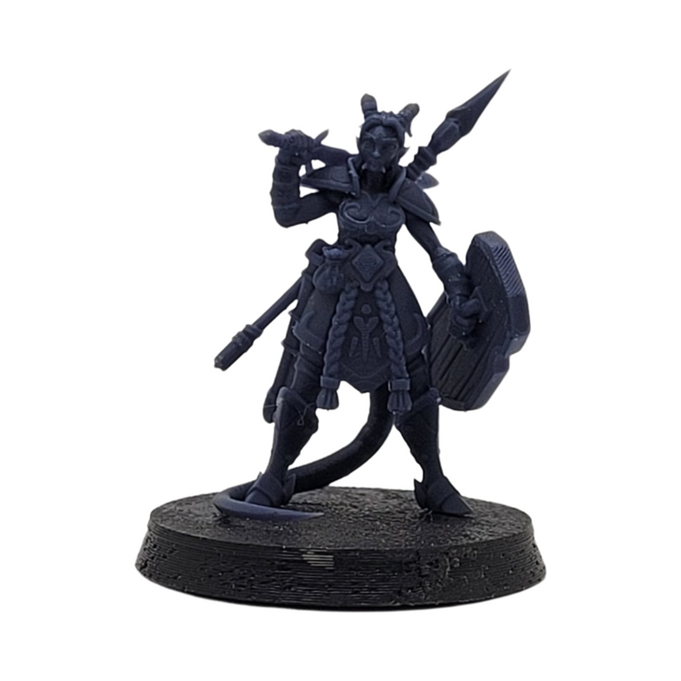 Ariza The Paladin - Miniature Figurine