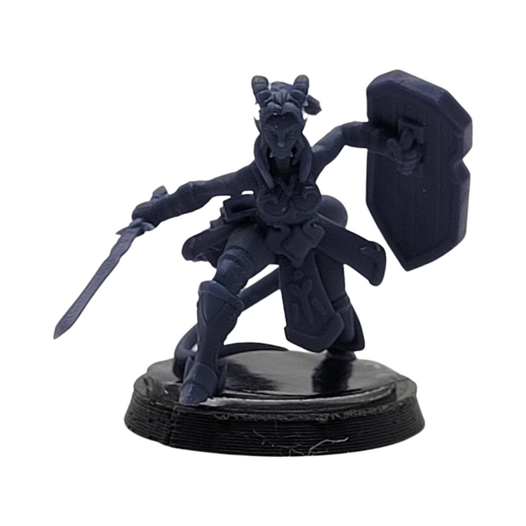 Ariza The Paladin - Miniature Figurine